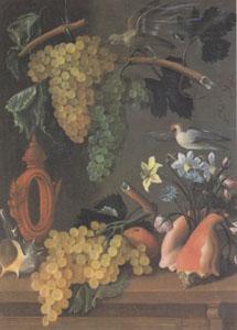 Juan de  Espinosa Still Life with Grapes (san 05) oil painting picture